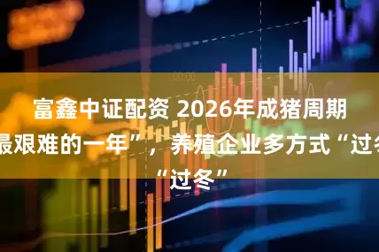 富鑫中证配资 2026年成猪周期“最艰难的一年”，养殖企业多方式“过冬”